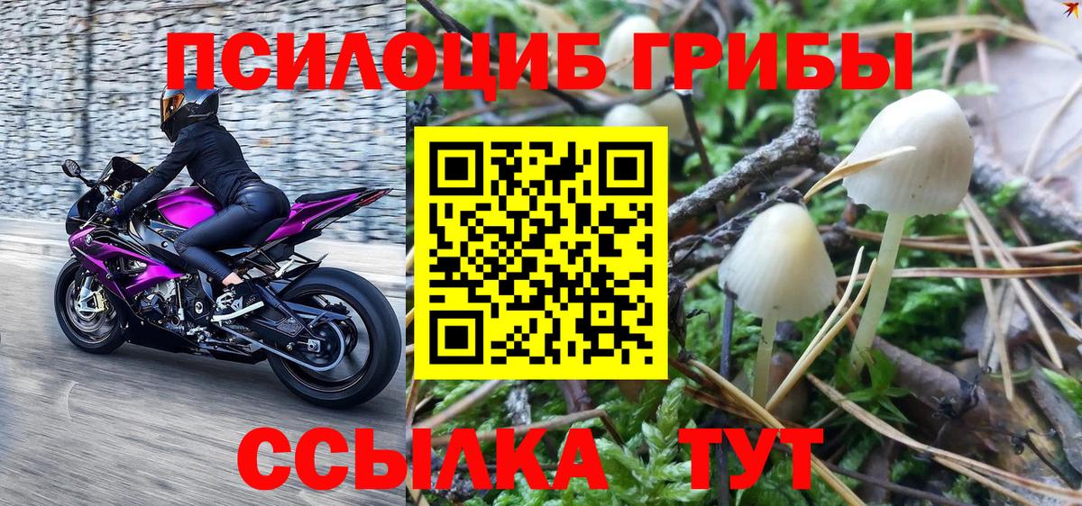 наркотики  Вход с VPN  Галлюциногенные грибы Magic Shrooms  Сальск  Галлюциногенные грибы MAGIC MUSHROOMS 